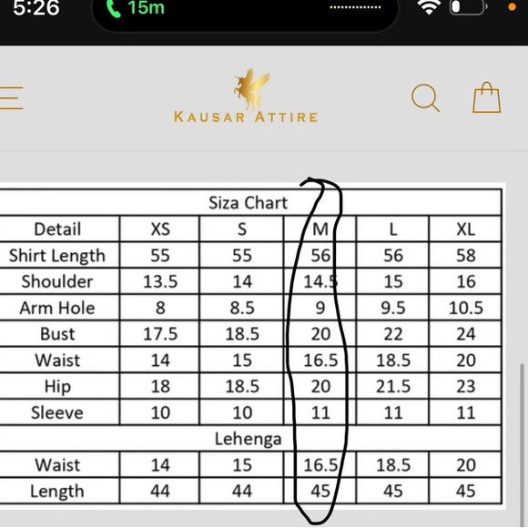 Designer Pakistani wedding formal wear stunning embellished -medium maxi - Picture 3 of 7